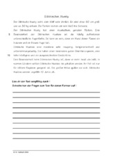 Sibirischer Husky.pdf